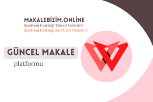 Şizofreni hastalığı türleri, kendi içerisinde 6 ana gruba ayrılır. Bunlar; 1)Paranoid Şizofreni Hastalığı2)Hebefrenik Şizofreni Hastalığı